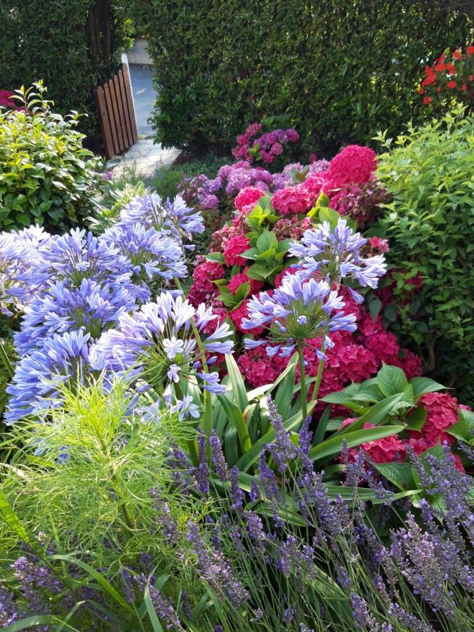 Les Puits Bessin Normandie Sommervieu Bagian luar foto